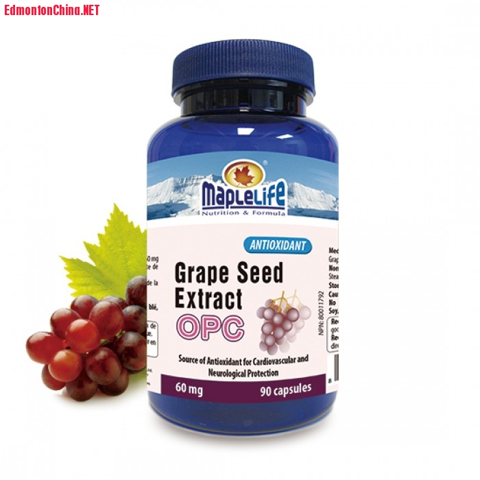 27_grape-seed-opc-60-mg_background_webuse.jpg